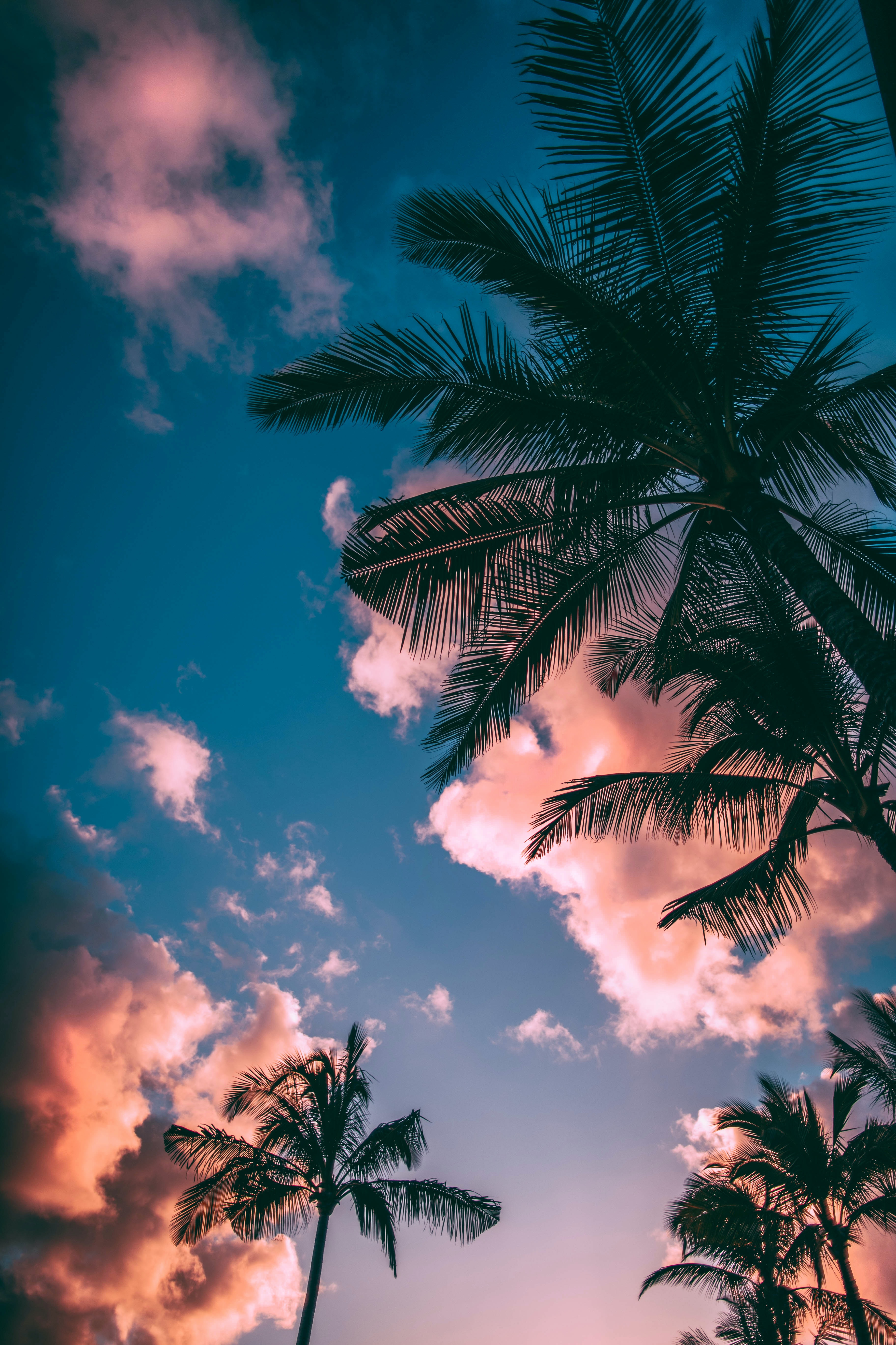 music-cover